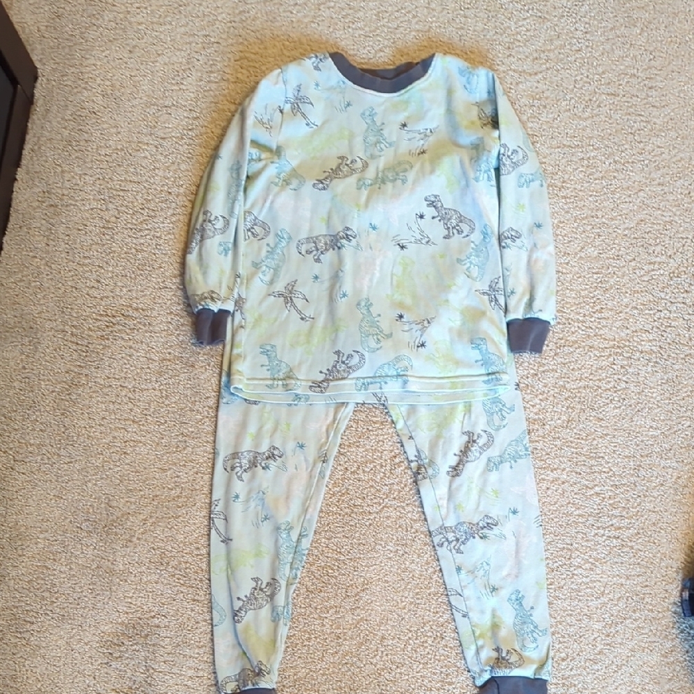 Kirkland Kids Dinosaur Pajamas